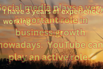 do you tube channel SEO and video promotion on organic way