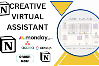 virtual assistance data entry notion template notion coaching  for reselling