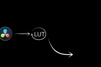 create lut file and use it in fcp adobe premiere or davinci resolve