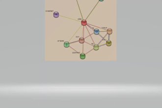 provide bioinformatics and data analysis services