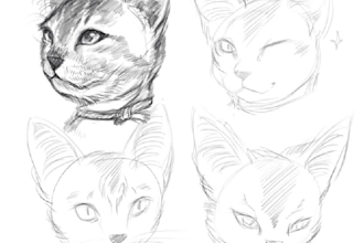 sketching your pet like cat, dog, bird, hamster