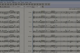 transcribe fast any instrument you need