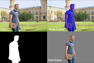 do hollywood quality rotoscoping, professionally