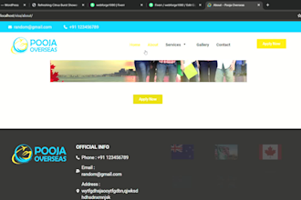 develop stunning responsive wordpress websites  landing pages