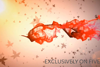 create outstanding typography motion graphics and many more