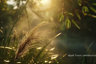 turn your text into a 30s emotional video with visuals and music