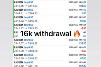provide, set up profitable automated forex bot, forex ea, trading bot, gold ea