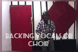 write, compose, sing your male lead, harmony, background vocals