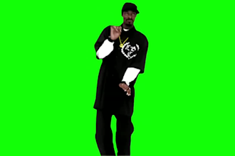remove green screen from your video within 24hrs