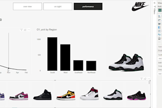 your google looker studio power bi and excel visualization expert