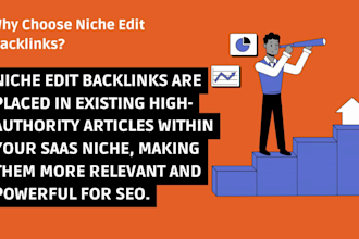 provide high DR quality saas niche edit backlinks