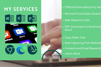 do data entry, copy paste, web research, excel data entry