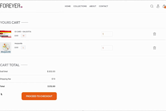 develop a responsive ecommerce website with modern UI and full functional