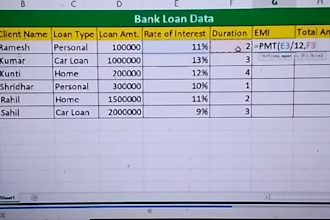 clean, format, and analyze microsoft excel data