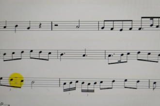 give theory and solfeggio and music theory lessons