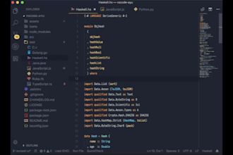 setup any ide including vs code, intellij, claude, codex