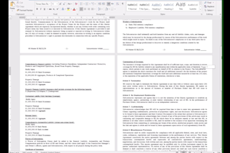 professional microsoft word document formatting