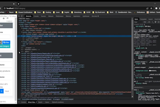 develop your dotnet desktop and web applications, web apis