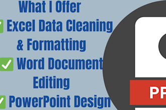 provide expert ms office services including word documents, excel sheets