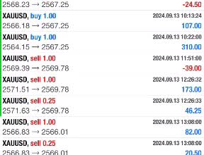 setup profitable forex trading robot, forex trading robot, trading bot, gold ea
