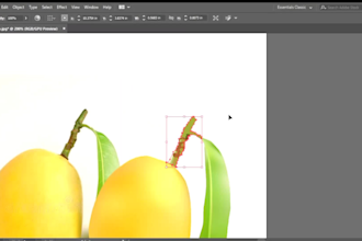 vector from any kind of image or scan file