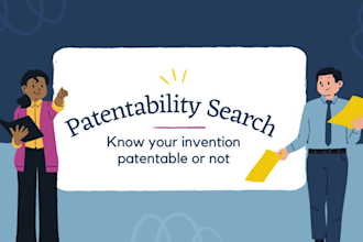 provide a patentability search report