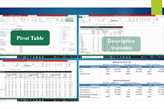 do data analysis and visualization in excel stata, spss, r