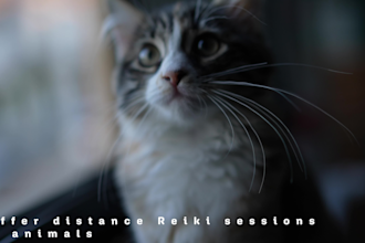 provide powerful distance reiki healing for pets