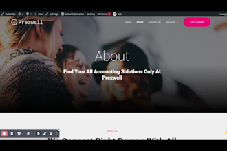 design professional accounting or ca wordpress website
