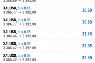 offer forex trading bot, forex ea, gold ea, scalp ea, trading bot, forex robot