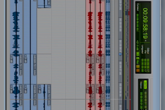 edit professionally your audio file,