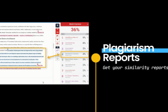 check ai and plagiarism