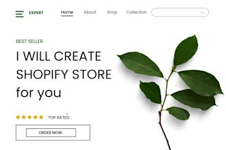 writ shopify ad copy, create a custom shopify dropshipping store with full setup