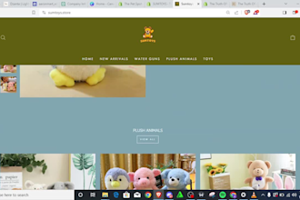 build your ecommerce shopify dropshipping store website