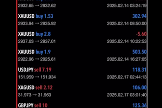 offer forex trading bot, forex trading robot, forex trading bot, trading bot