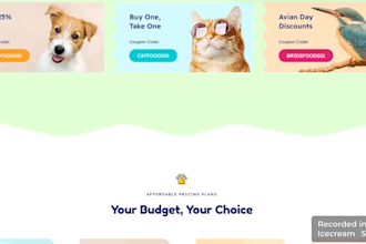 design pet shopify store, pet store, pet grooming website or pet website