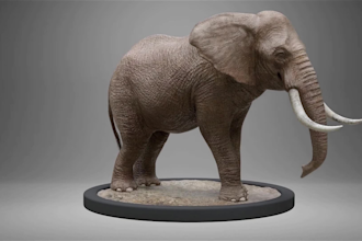 create realistic 3d animal animation, 3d cgi animal model, cgi, for vfx or game