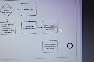 create process maps, flow charts, bpmn, organogram diagrams