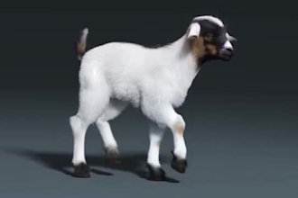 3d animal model realistic fur animal character xgen grooming hair