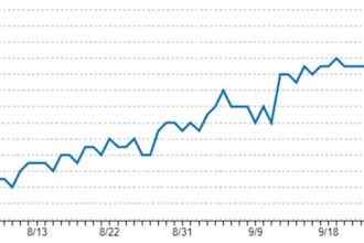 italian link building  on high quality vertical sites for any niche offpage seo