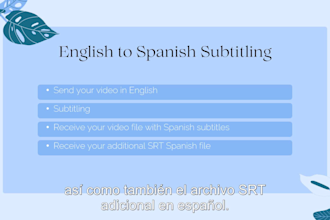 translate and subtitle your video