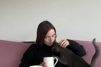 create ugc videos for you with my grey cat