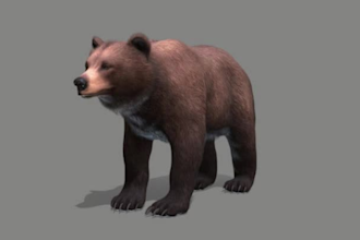 3d animal model, animal animation, 3d fur, 3d animal rigging