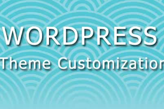 customize any wordpress theme
