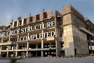 do professional video editing,motion graphics,short clips,social media reels