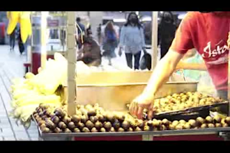 record sounds from istanbul, turkey