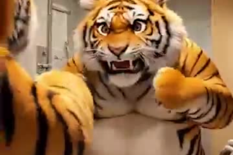 create adorable ai cat video I ai cat stories I youtube shorts and tiktok reels