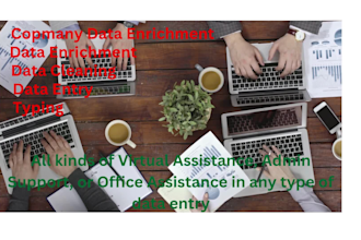 do appending company data enrichment, data cleaning, data entry, copy paste