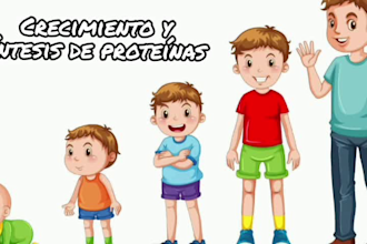 diseño de presentaciones power point