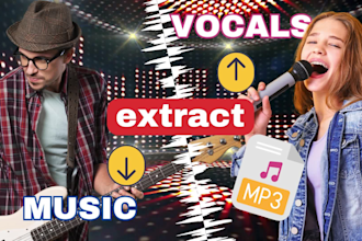 remove vocals from any song